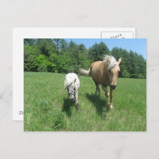 Khrysta en Cash Briefkaart (Voorkant / Achterkant)