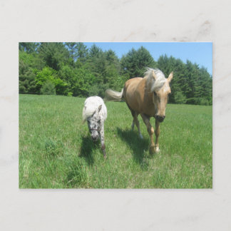 Khrysta en Cash Briefkaart