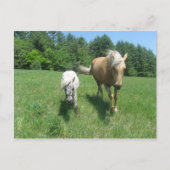 Khrysta en Cash Briefkaart (Voorkant)