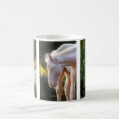 Ki Cremello Thoroughbred Colt Koffiemok (Center)