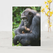 Kibale Chimpansee Wenskaart - "Mama Umbrella" Kaart (Gele Bloem)