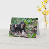 Kibale Chimpansee Wenskaart - Quiver Kaart (Gele Bloem)