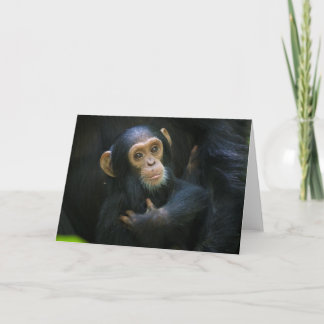 Kibale Chimpanzee-Baby-Wenskaart Kaart