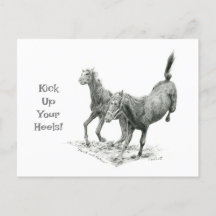 Kick up Your Heels Postcrossing Briefkaart