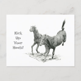 Kick up Your Heels Postcrossing Briefkaart