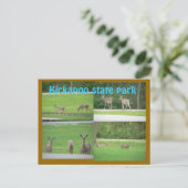 Kickapoo Deer Briefkaart (Staand voorkant)