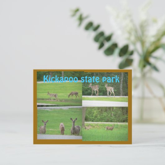 Kickapoo Deer Briefkaart (Staand voorkant)