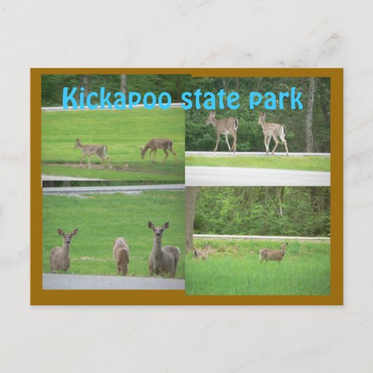 Kickapoo Deer Briefkaart (Voorkant)
