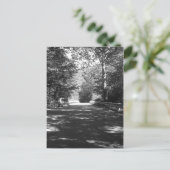 Kickapoo State Park Bridge Briefkaart (Staand voorkant)