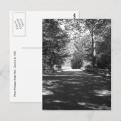 Kickapoo State Park Bridge Briefkaart (Voorkant / Achterkant)