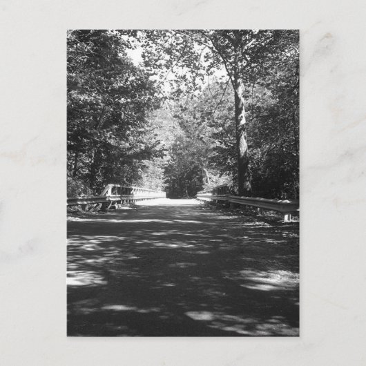 Kickapoo State Park Bridge Briefkaart (Voorkant)