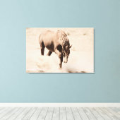 Kickin omhoog de Stofgestrekte Druk van het Canvas (Insitu (Houten vloer))