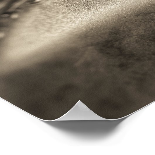 Kiddie Ride op de County Fair Poster (Hoek)