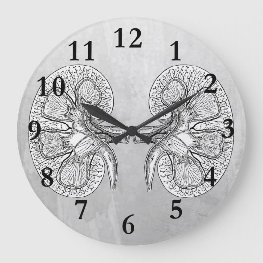 KIDNEY 2 TEKENEN GROTE KLOK (Voorkant)