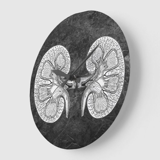 KIDNEY 2 TEKENEN GROTE KLOK (Hoek)