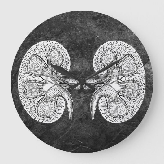 KIDNEY 2 TEKENEN GROTE KLOK (Voorkant)