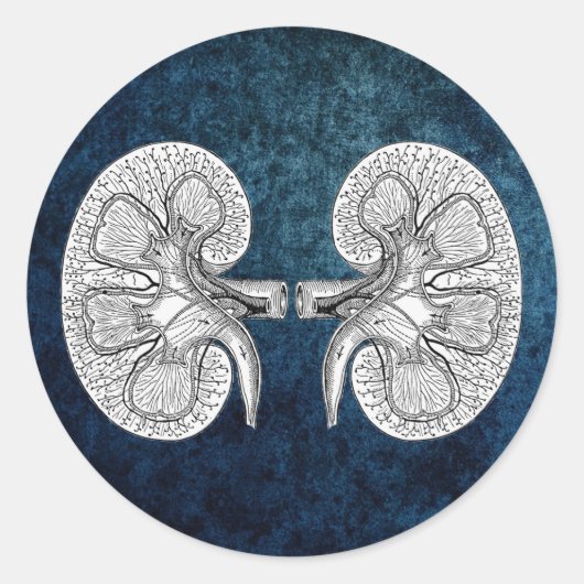 KIDNEY 2 TEKENEN RONDE STICKER (Voorkant)