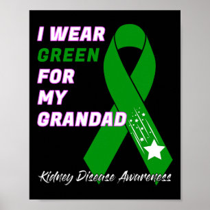 Kidney Disease Awareness Dialysis Transplant Patie Poster