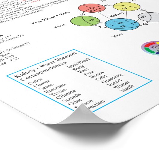 Kidney Meridian Acupuncture Points Poster (Hoek)