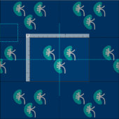 Kidney Nephrology Navy Stof (Delen)