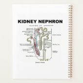 Kidney Nephron Gray's anatomie Planner (Achterkant)
