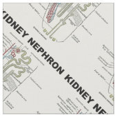 Kidney Nephron Gray's anatomie Stof (Close Up)