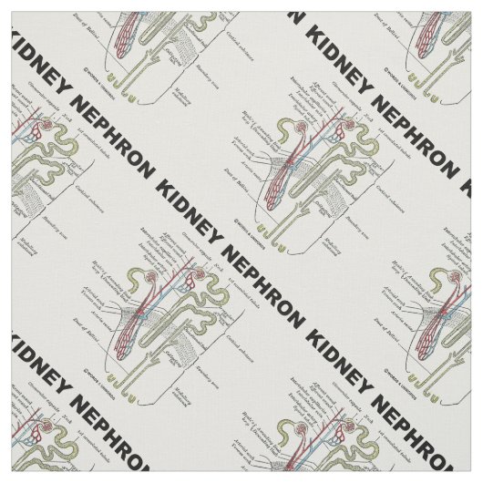 Kidney Nephron Gray's anatomie Stof (Swatch)