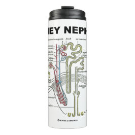 Kidney Nephron Gray's anatomie Thermosbeker