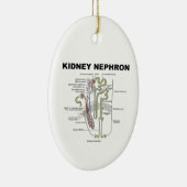 Kidney Nephron (Grey's Anatomy Book) Keramisch Ornament (Rechts)
