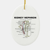 Kidney Nephron (Grey's Anatomy Book) Keramisch Ornament (Voorkant)