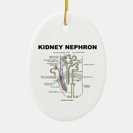 Kidney Nephron (Grey's Anatomy Book) Keramisch Ornament (Voorkant)