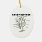 Kidney Nephron (Grey's Anatomy Book) Keramisch Ornament (Achterkant)