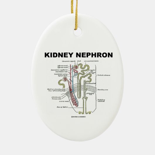 Kidney Nephron (Grey's Anatomy Book) Keramisch Ornament (Achterkant)