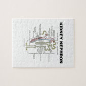 Kidney Nephron (Grey's Anatomy Book) Legpuzzel (Horizontaal)