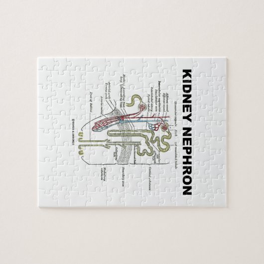 Kidney Nephron (Grey's Anatomy Book) Legpuzzel (Horizontaal)