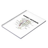 Kidney Nephron (Grijze anatomie Notitieboek (Linkerzijde)