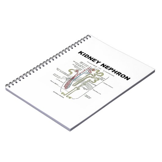 Kidney Nephron (Grijze anatomie Notitieboek (Linkerzijde)