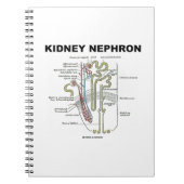Kidney Nephron (Grijze anatomie Notitieboek (Voorkant)