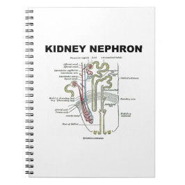 Kidney Nephron (Grijze anatomie Notitieboek