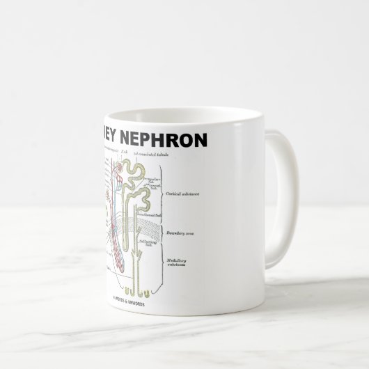 Kidney Nephron Koffiemok (Voorkant rechts)