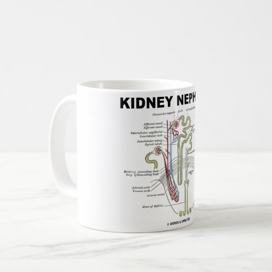 Kidney Nephron Koffiemok (Voorkant links)