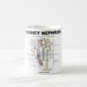 Kidney Nephron Koffiemok (Center)