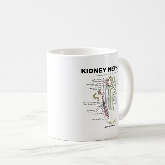 Kidney Nephron Koffiemok (Voorkant rechts)
