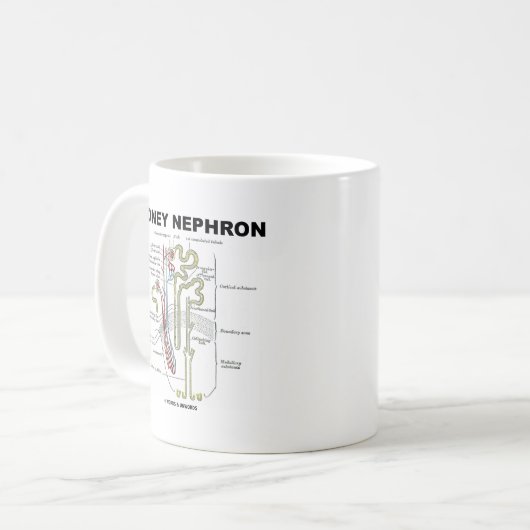 Kidney Nephron Koffiemok (Voorkant links)