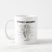 Kidney Nephron Koffiemok (Links)