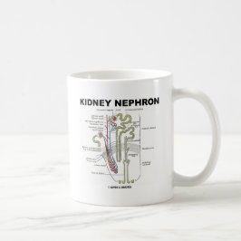 Kidney Nephron Koffiemok