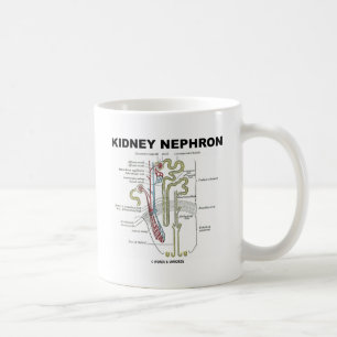 Kidney Nephron Koffiemok