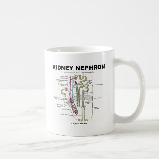 Kidney Nephron Koffiemok (Rechts)