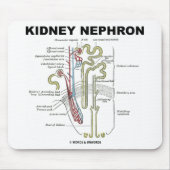 Kidney Nephron Muismat (Voorkant)