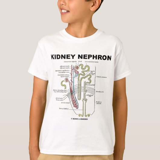 Kidney Nephron T-shirt (Voorkant)